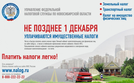 Пояснение Федеральной налоговой службы по уплате налогов 2024